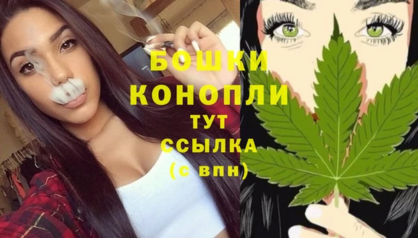 ешки Аркадак