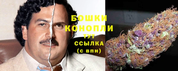 гидра Баксан