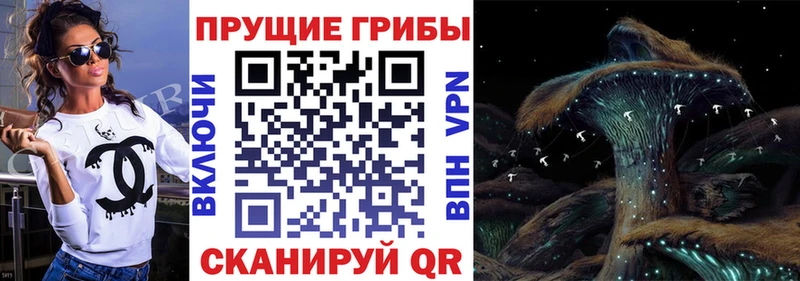 Галлюциногенные грибы GOLDEN TEACHER  ОМГ ОМГ ссылки  Киров 
